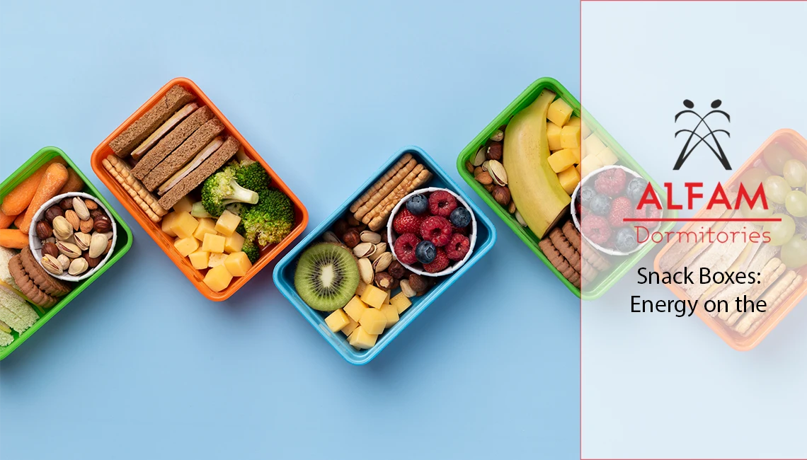 Snack Boxes: Energy on the Go